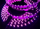 UVA紫外線Cの殺菌紫色は軽いストリップSMD335の紫外線導かれたストリップ254nm 360nm 365nm 455nmを導いた
